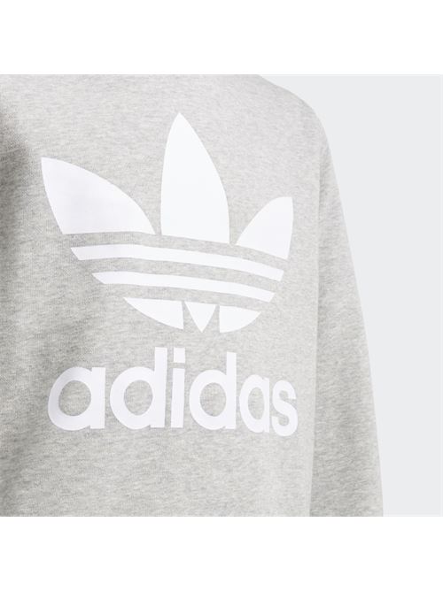 trefoil crew ADIDAS ORIGINAL | GD2709MGREY